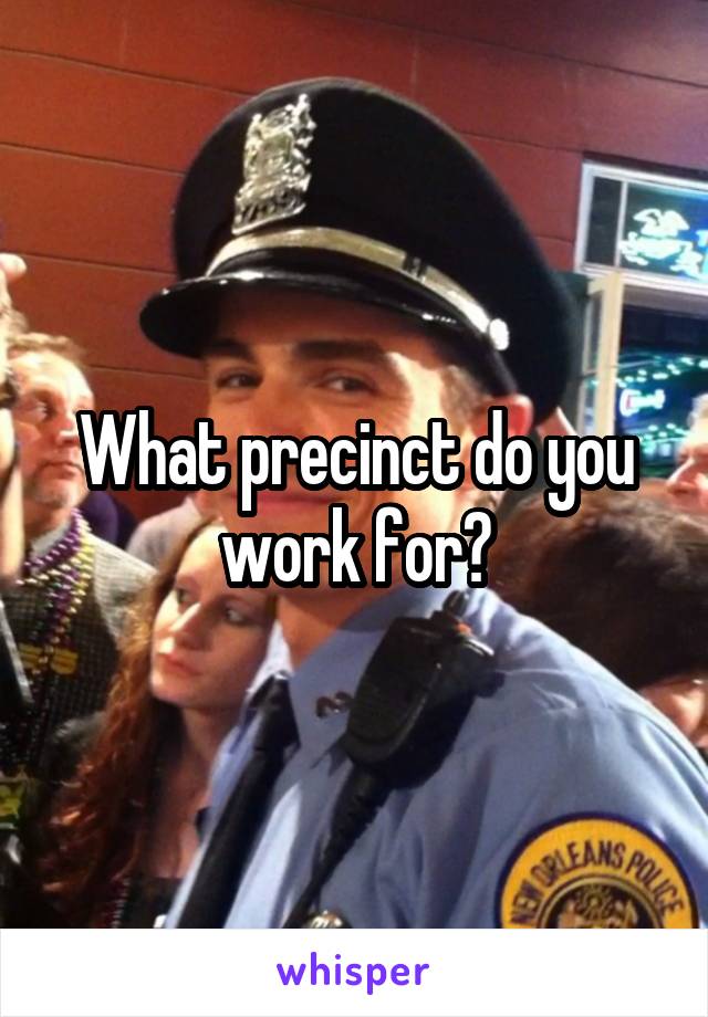 What precinct do you work for?