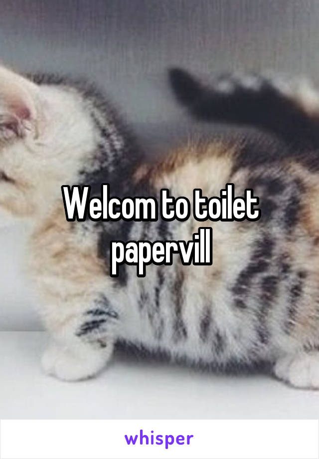 Welcom to toilet papervill