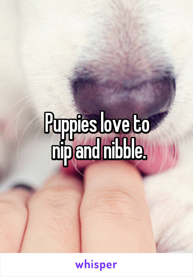 Puppies love to
 nip and nibble.