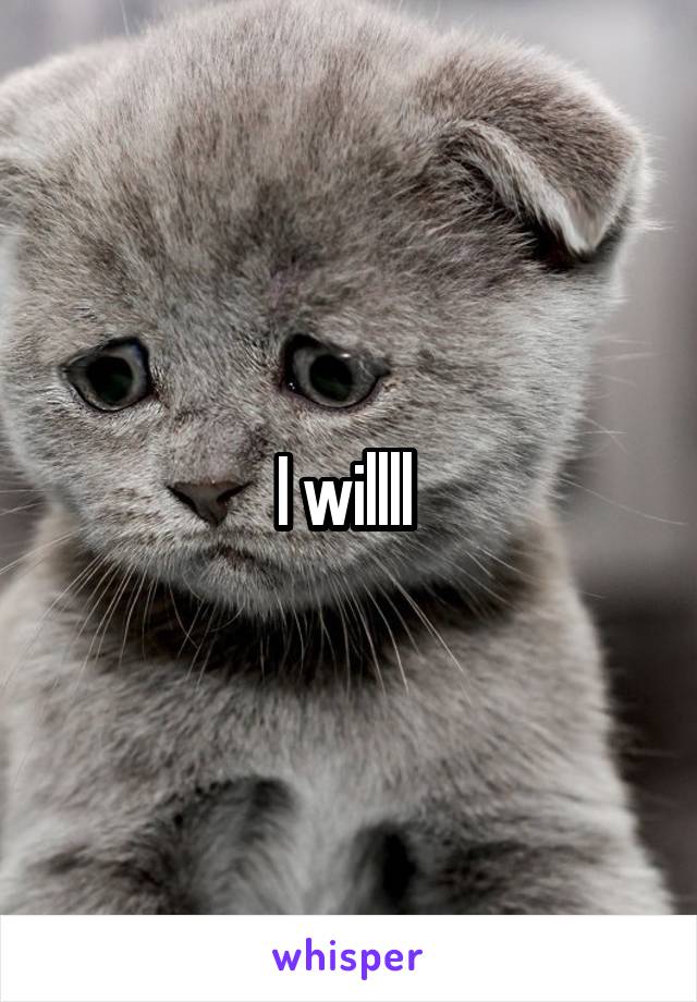 I willll 