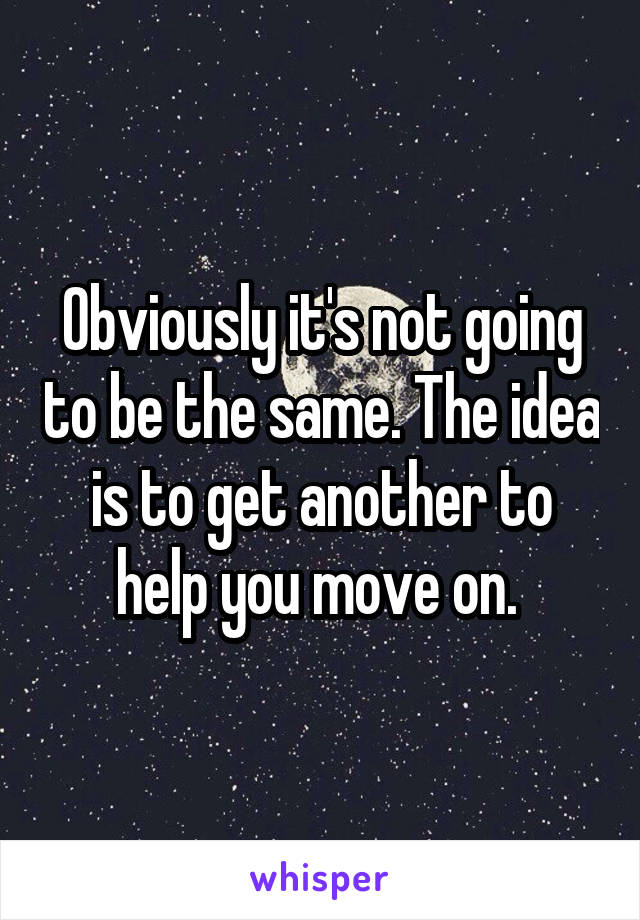 Obviously it's not going to be the same. The idea is to get another to help you move on. 