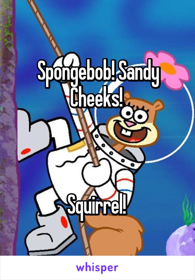Spongebob! Sandy Cheeks! 



Squirrel! 
