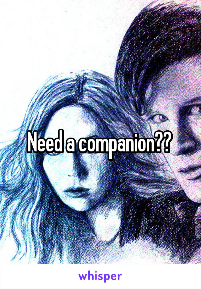 Need a companion?? 