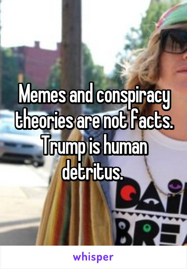Memes and conspiracy theories are not facts. Trump is human detritus. 