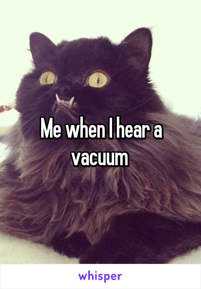 Me when I hear a vacuum 