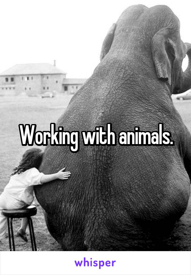 Working with animals.