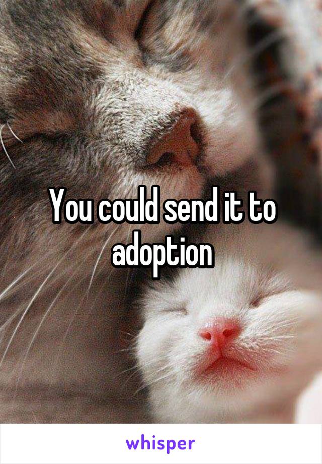 You could send it to adoption
