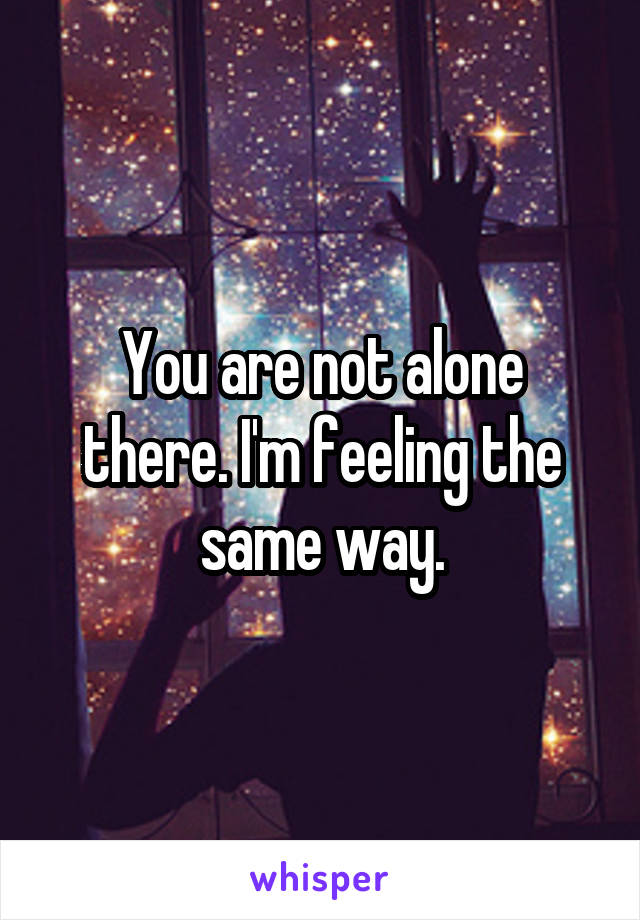 You are not alone there. I'm feeling the same way.