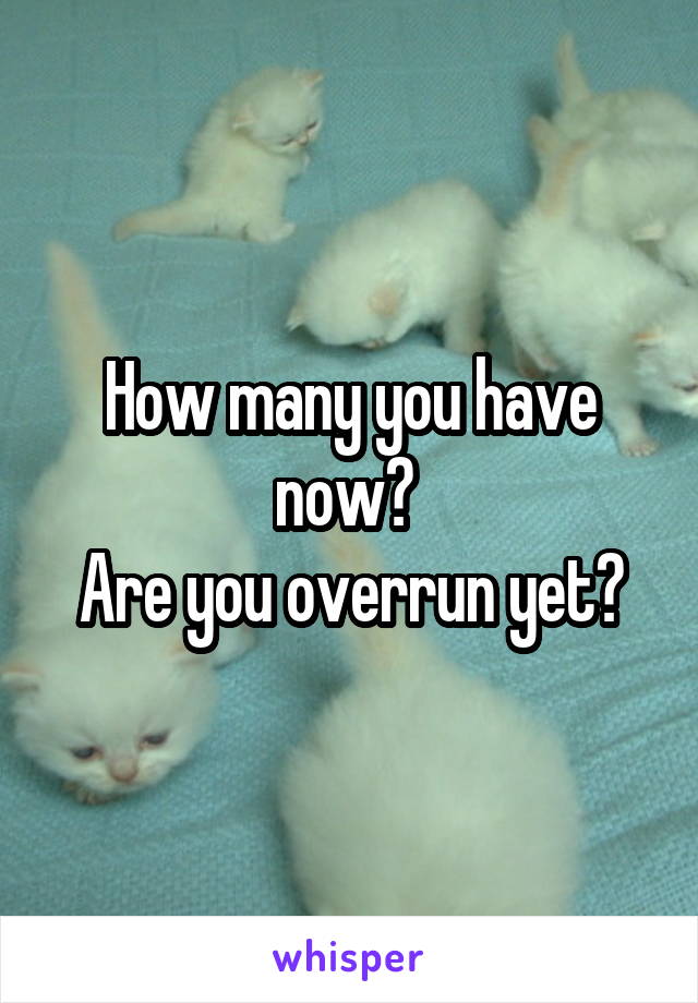 How many you have now? 
Are you overrun yet?