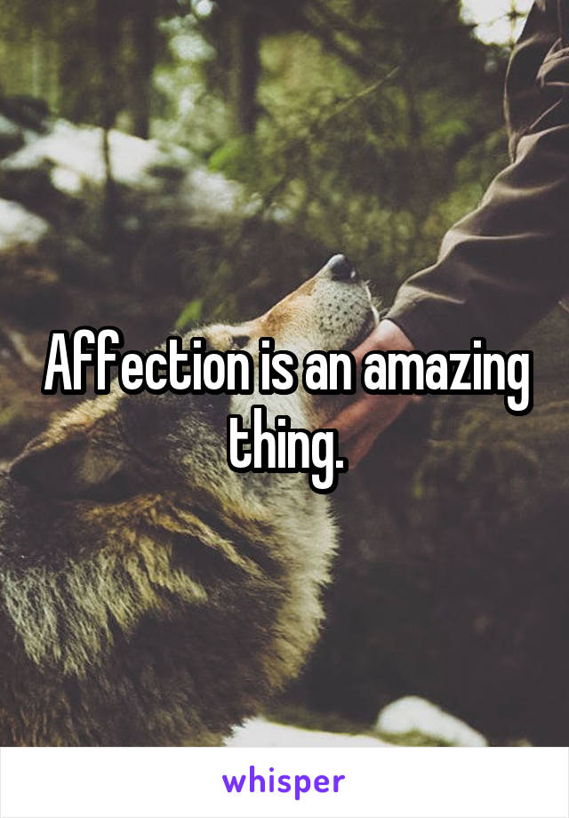 Affection is an amazing thing.