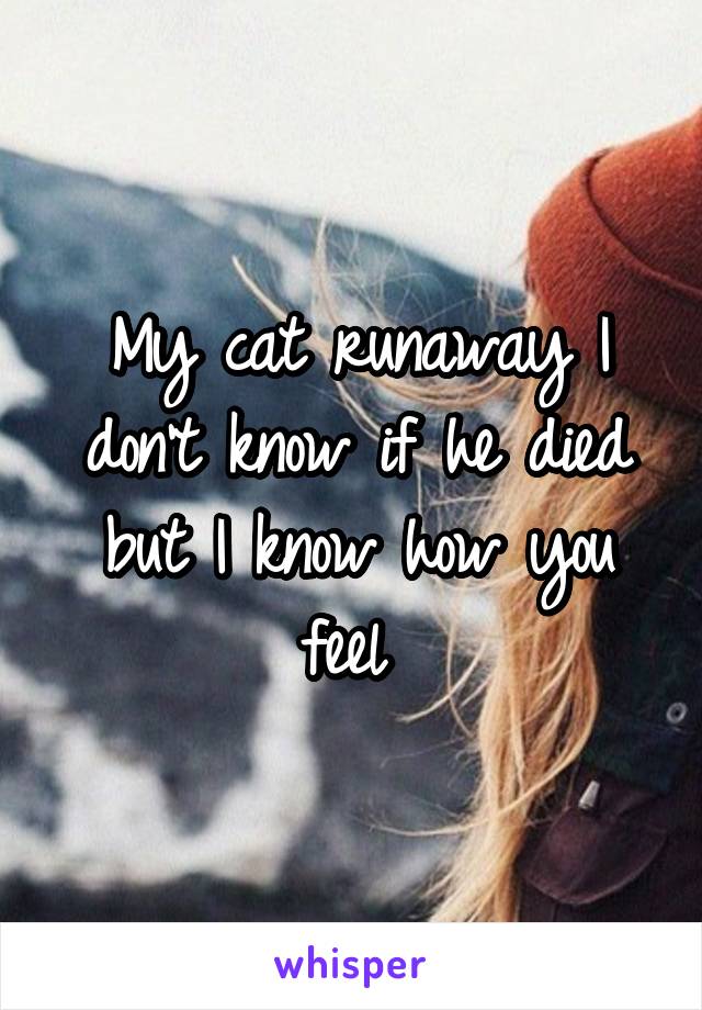My cat runaway I don't know if he died but I know how you feel 