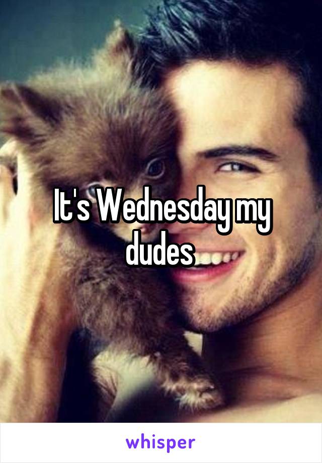 It's Wednesday my dudes 