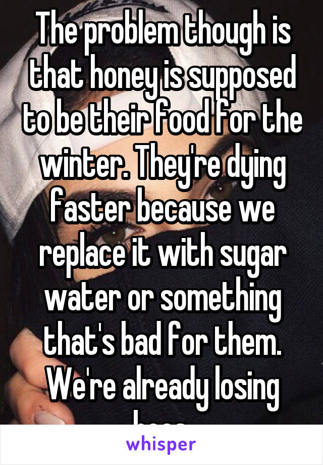 The problem though is that honey is supposed to be their food for the winter. They're dying faster because we replace it with sugar water or something that's bad for them. We're already losing bees.