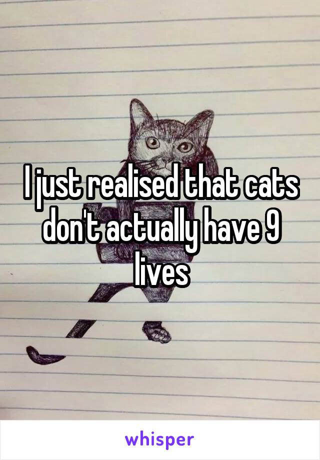 I just realised that cats don't actually have 9 lives