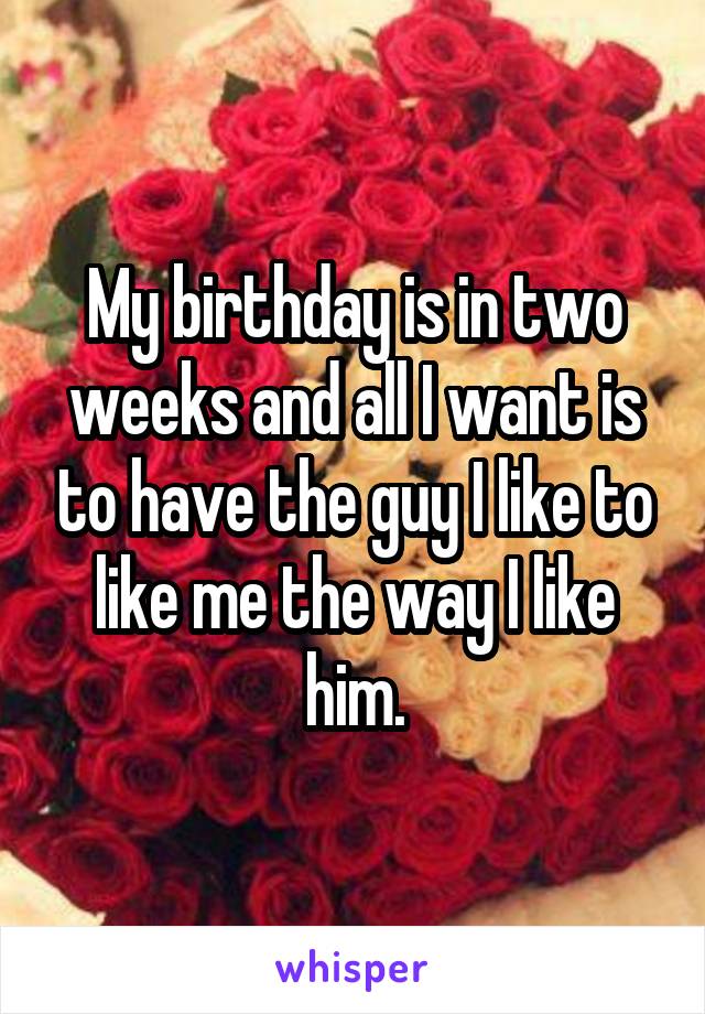 My birthday is in two weeks and all I want is to have the guy I like to like me the way I like him.