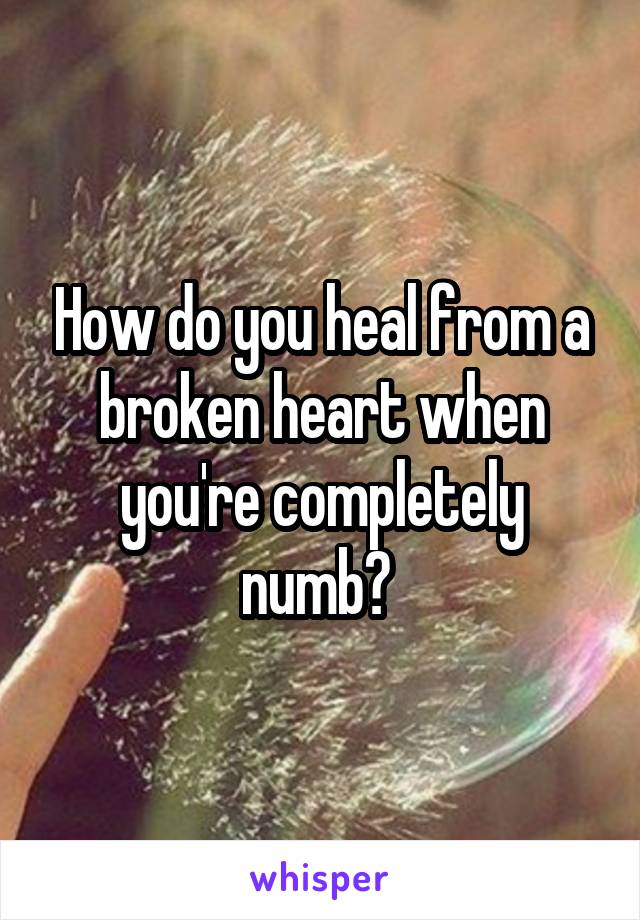 How do you heal from a broken heart when you're completely numb? 
