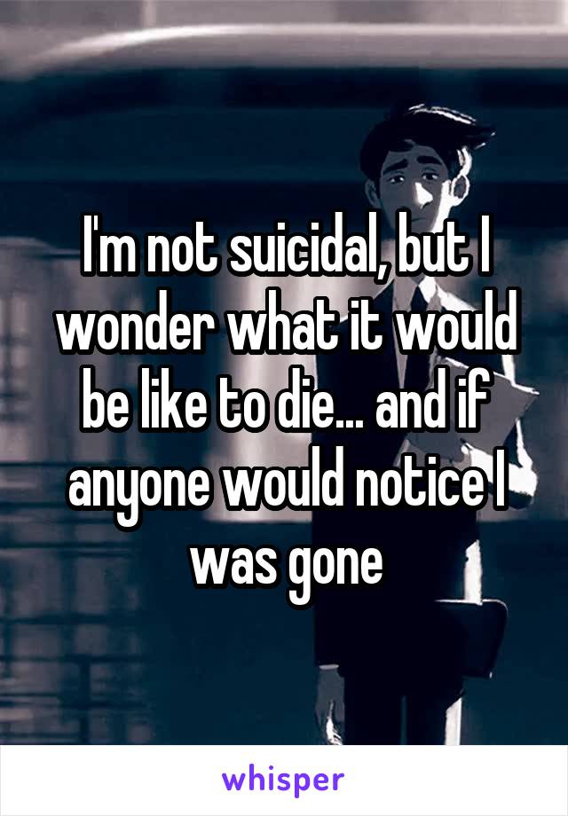 I'm not suicidal, but I wonder what it would be like to die... and if anyone would notice I was gone