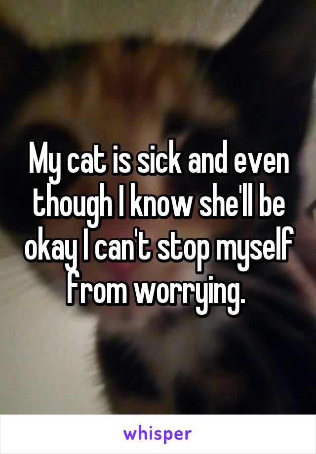 My cat is sick and even though I know she'll be okay I can't stop myself from worrying. 
