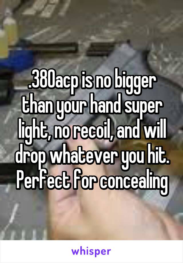 .380acp is no bigger than your hand super light, no recoil, and will drop whatever you hit. Perfect for concealing