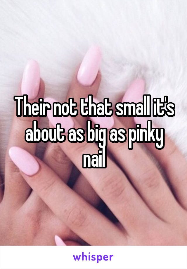 Their not that small it's about as big as pinky nail