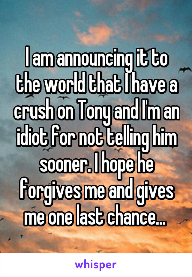 I am announcing it to the world that I have a crush on Tony and I'm an idiot for not telling him sooner. I hope he forgives me and gives me one last chance... 