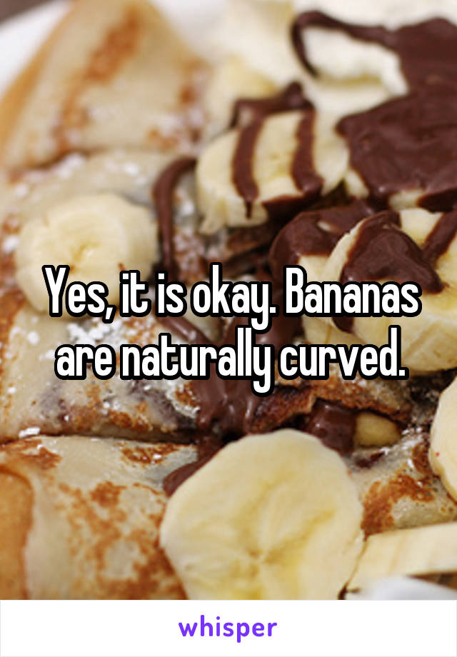Yes, it is okay. Bananas are naturally curved.
