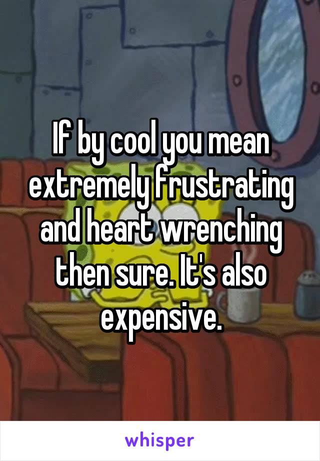 If by cool you mean extremely frustrating and heart wrenching then sure. It's also expensive.