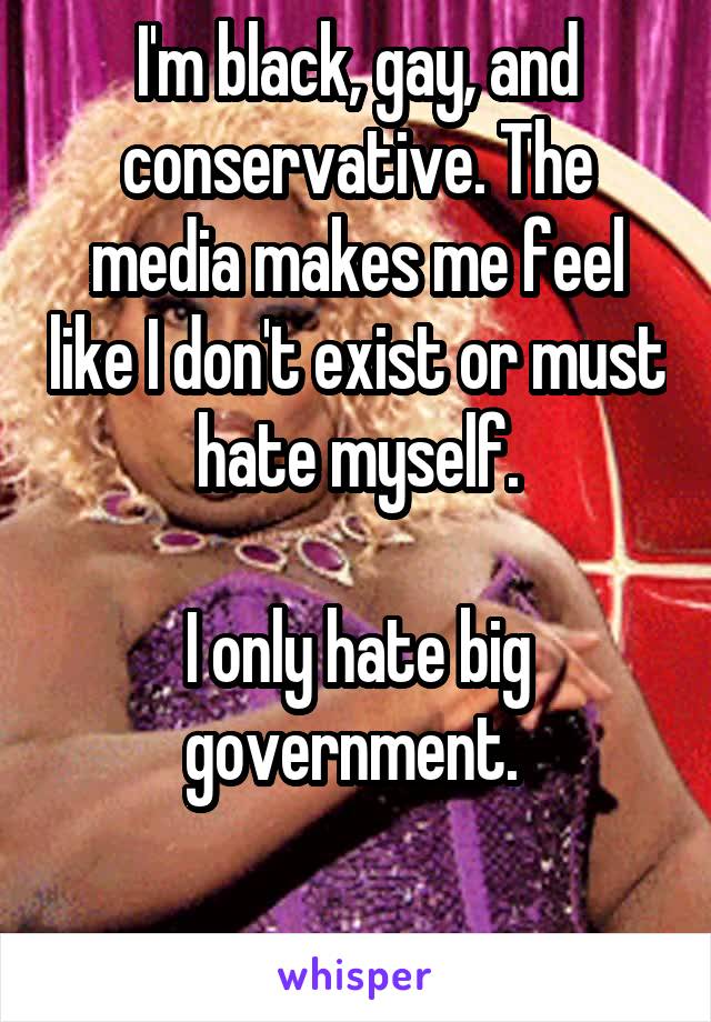 I'm black, gay, and conservative. The media makes me feel like I don't exist or must hate myself.

I only hate big government. 

