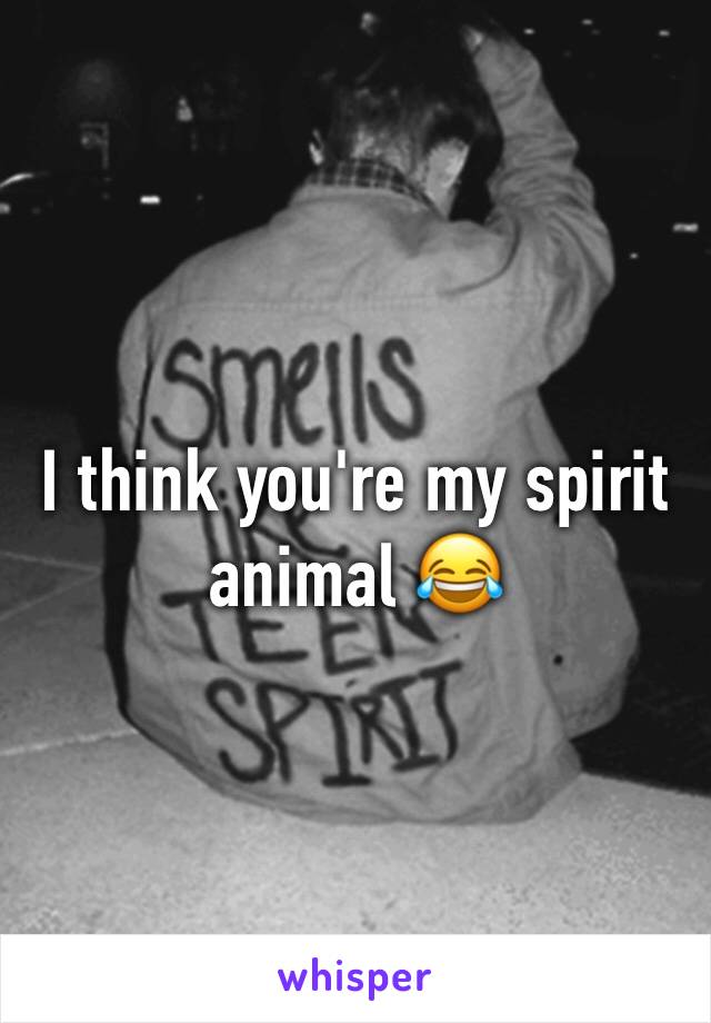 I think you're my spirit animal 😂