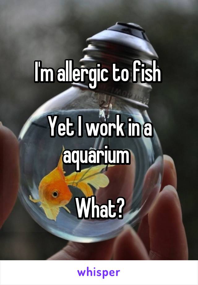 I'm allergic to fish 

Yet I work in a aquarium  

What?