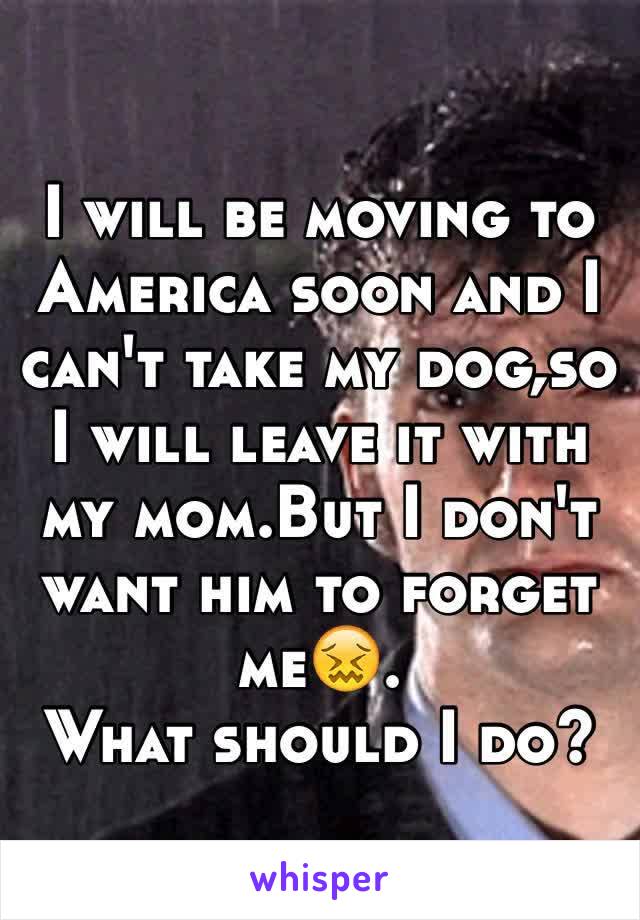 I will be moving to America soon and I can't take my dog,so I will leave it with my mom.But I don't want him to forget me😖.
What should I do?