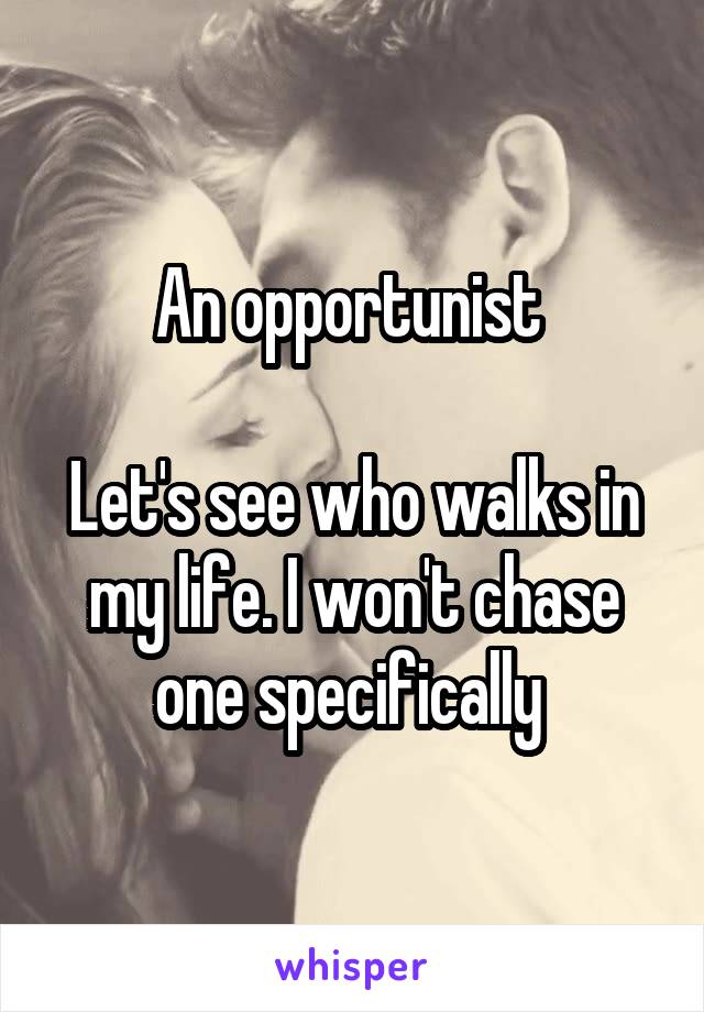 An opportunist 

Let's see who walks in my life. I won't chase one specifically 