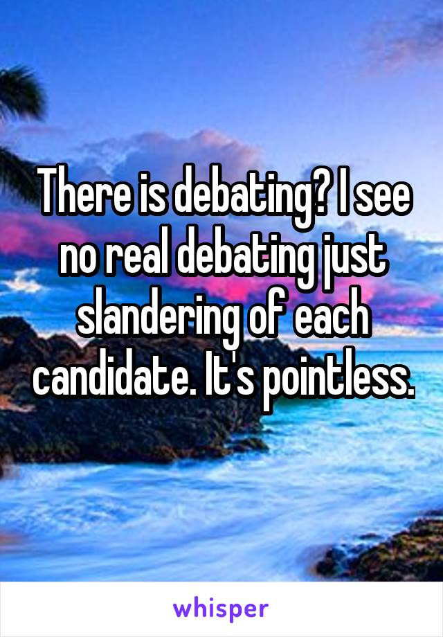 There is debating? I see no real debating just slandering of each candidate. It's pointless. 