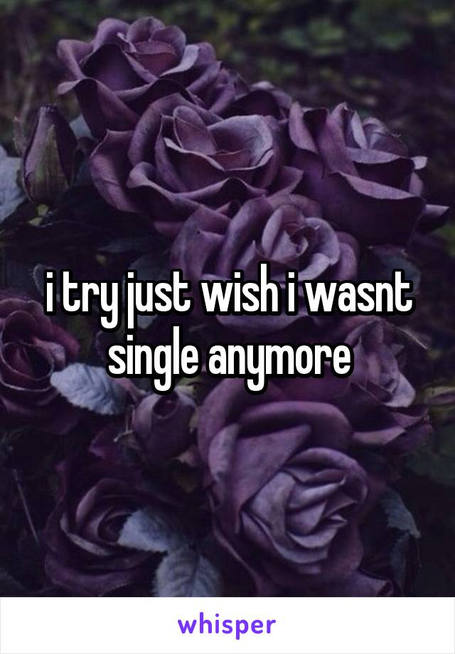 i try just wish i wasnt single anymore