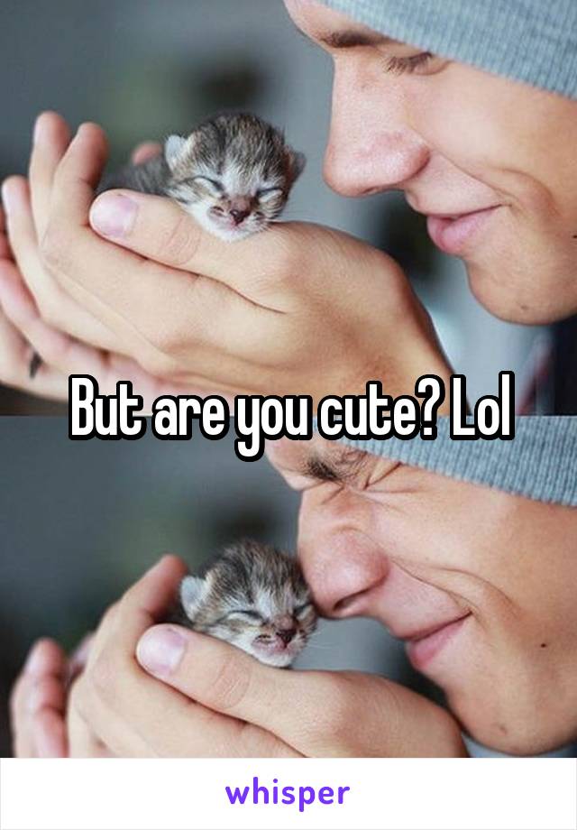 But are you cute? Lol