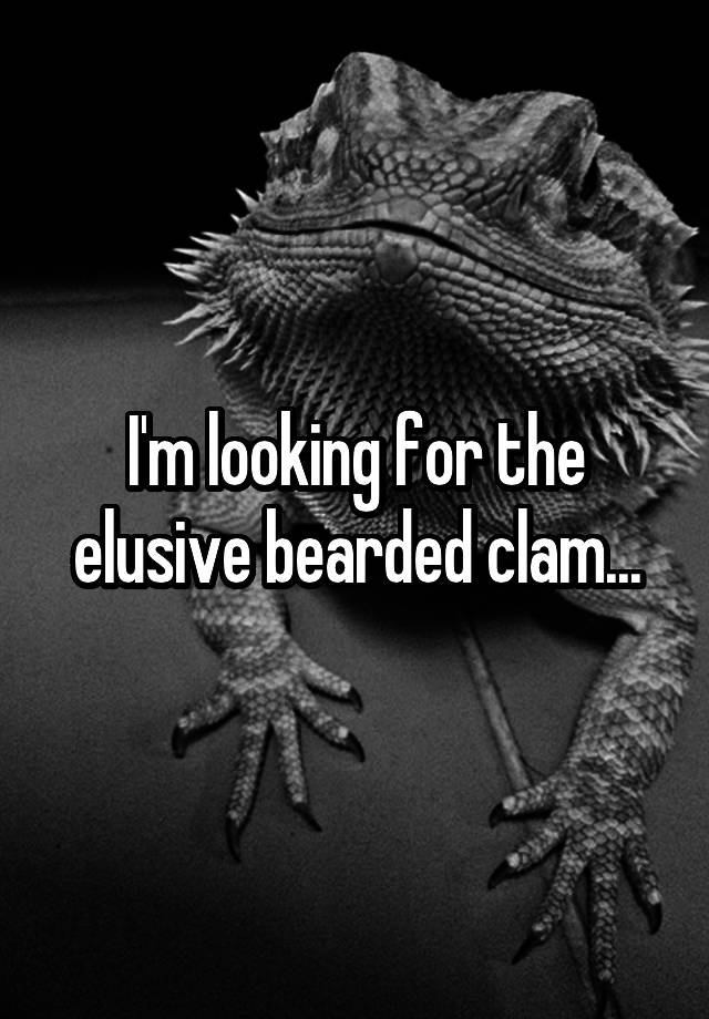 I M Looking For The Elusive Bearded Clam
