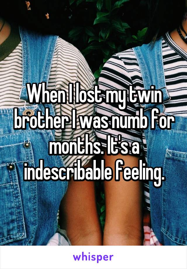 When I lost my twin brother I was numb for months. It's a indescribable feeling.