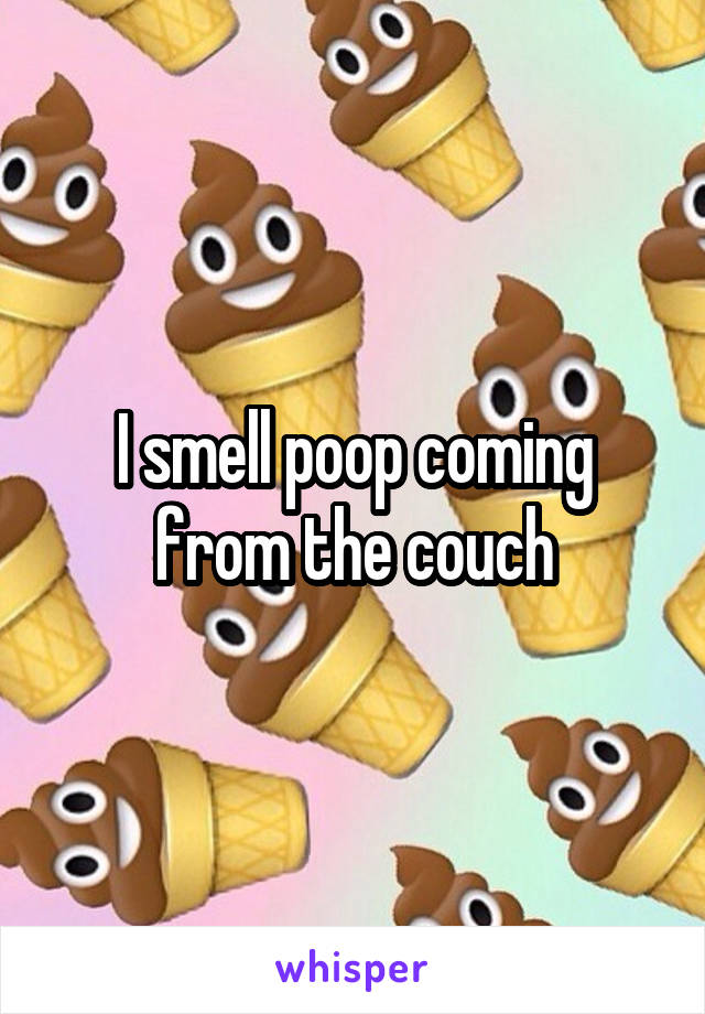 I smell poop coming from the couch