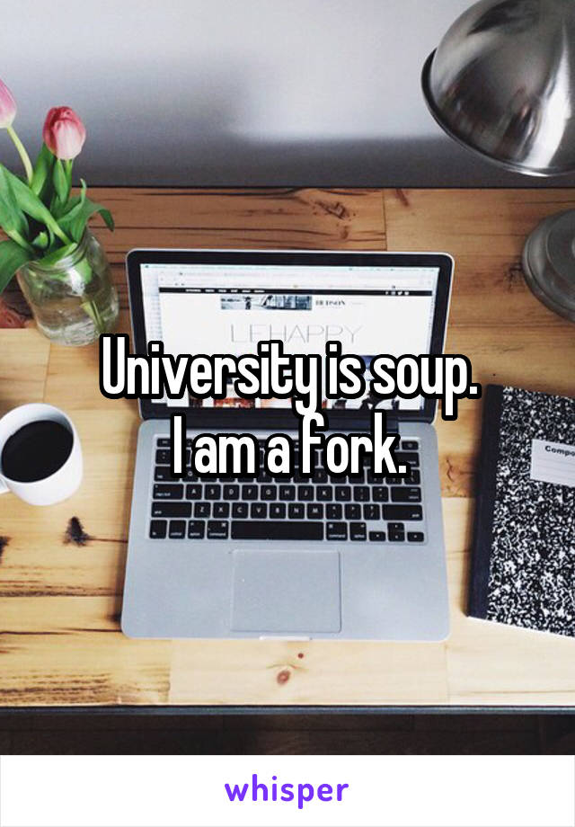 University is soup.
I am a fork.