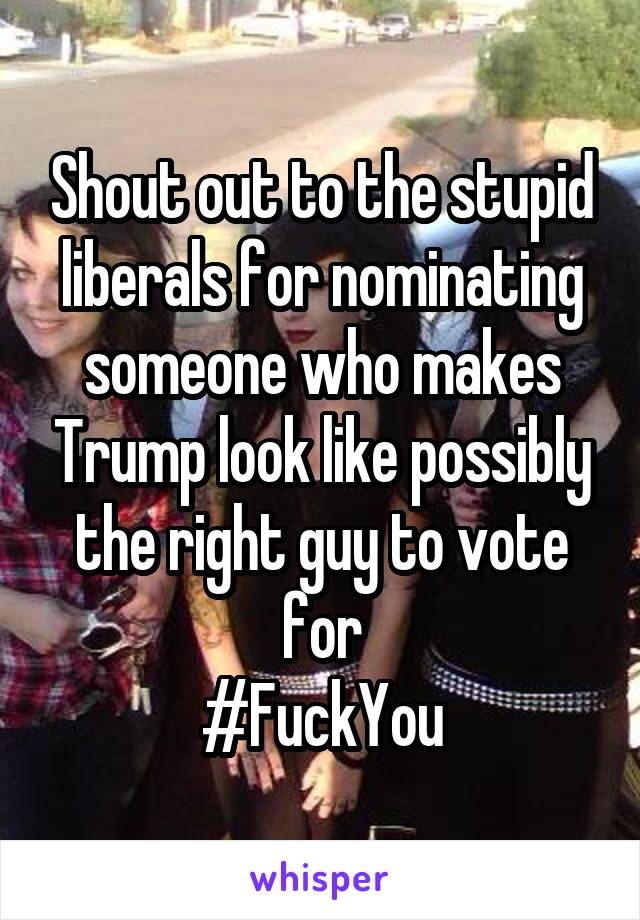 Shout out to the stupid liberals for nominating someone who makes Trump look like possibly the right guy to vote for
#FuckYou
