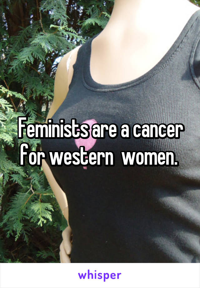 Feminists are a cancer for western  women. 