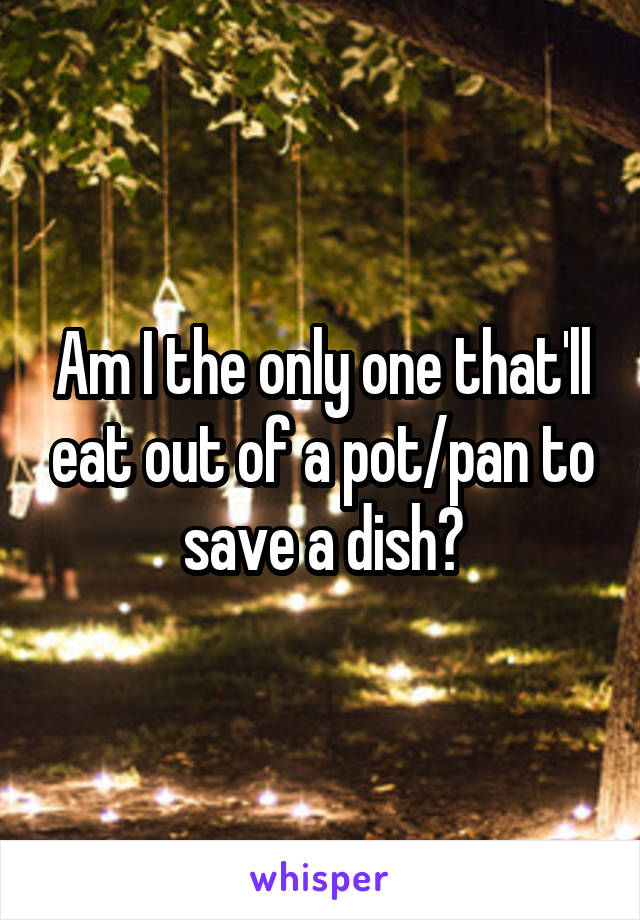 Am I the only one that'll eat out of a pot/pan to save a dish?