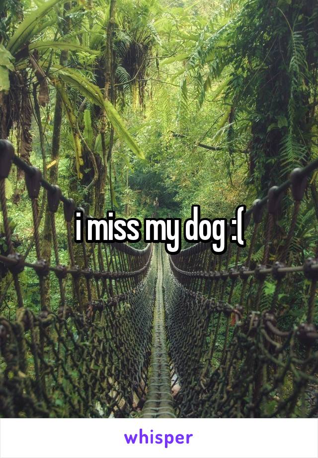 i miss my dog :(