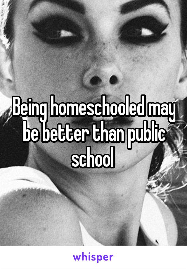 Being homeschooled may be better than public school 
