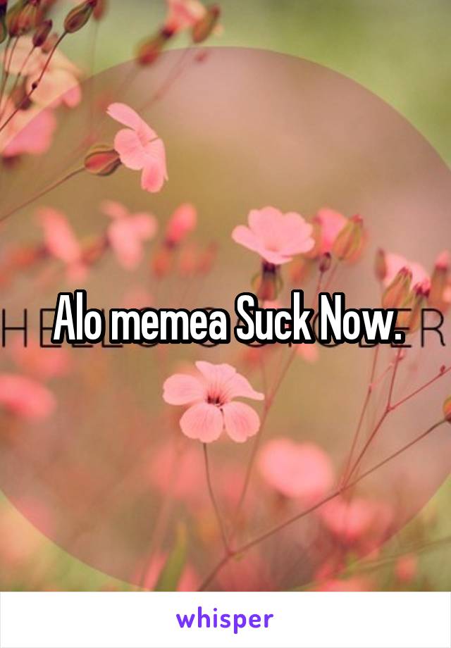 Alo memea Suck Now.