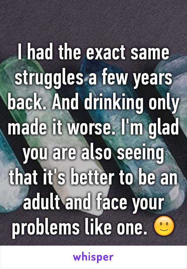 I had the exact same struggles a few years back. And drinking only made it worse. I'm glad you are also seeing that it's better to be an adult and face your problems like one. 🙂