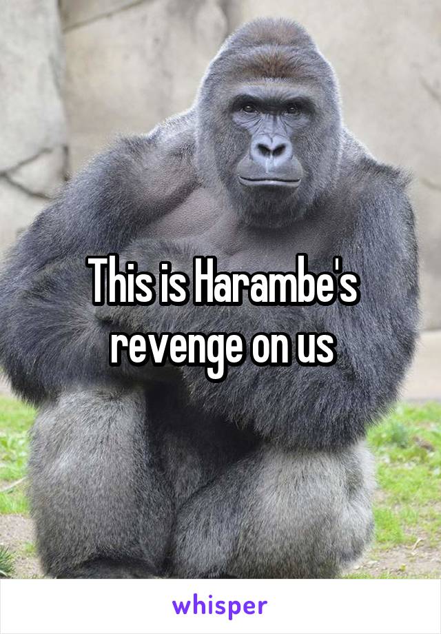 This is Harambe's revenge on us