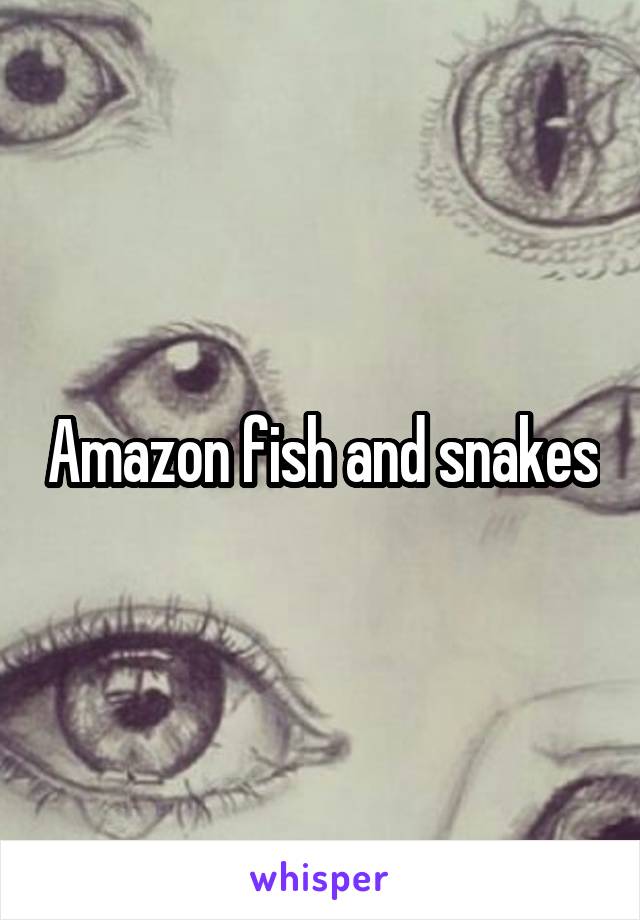 Amazon fish and snakes