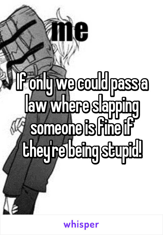 If only we could pass a law where slapping someone is fine if they're being stupid!