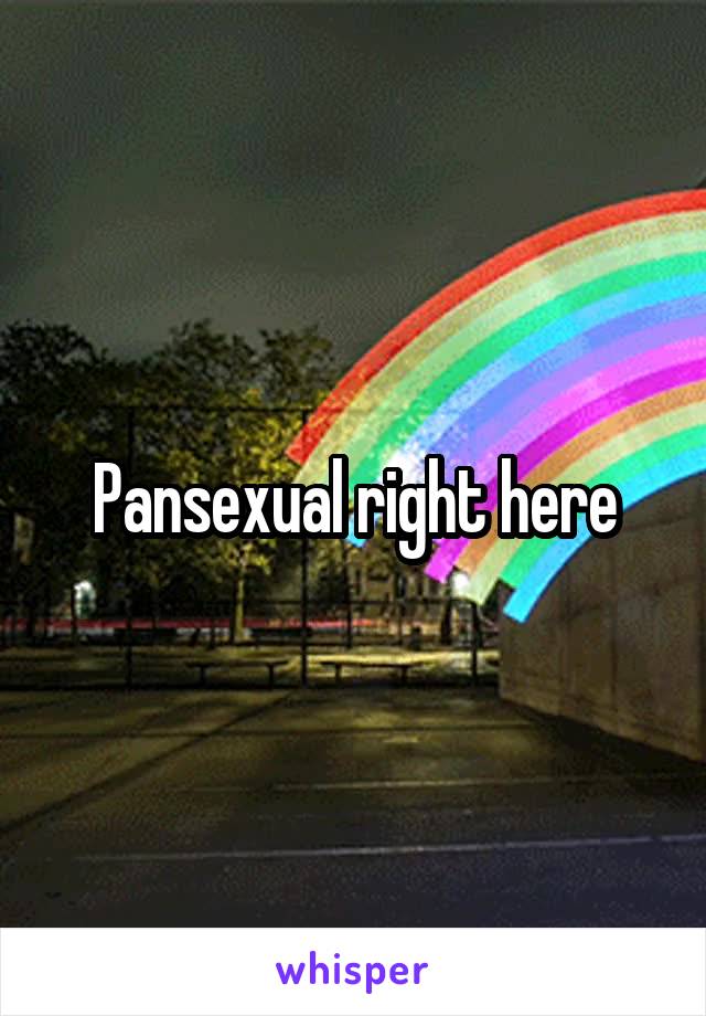 Pansexual right here
